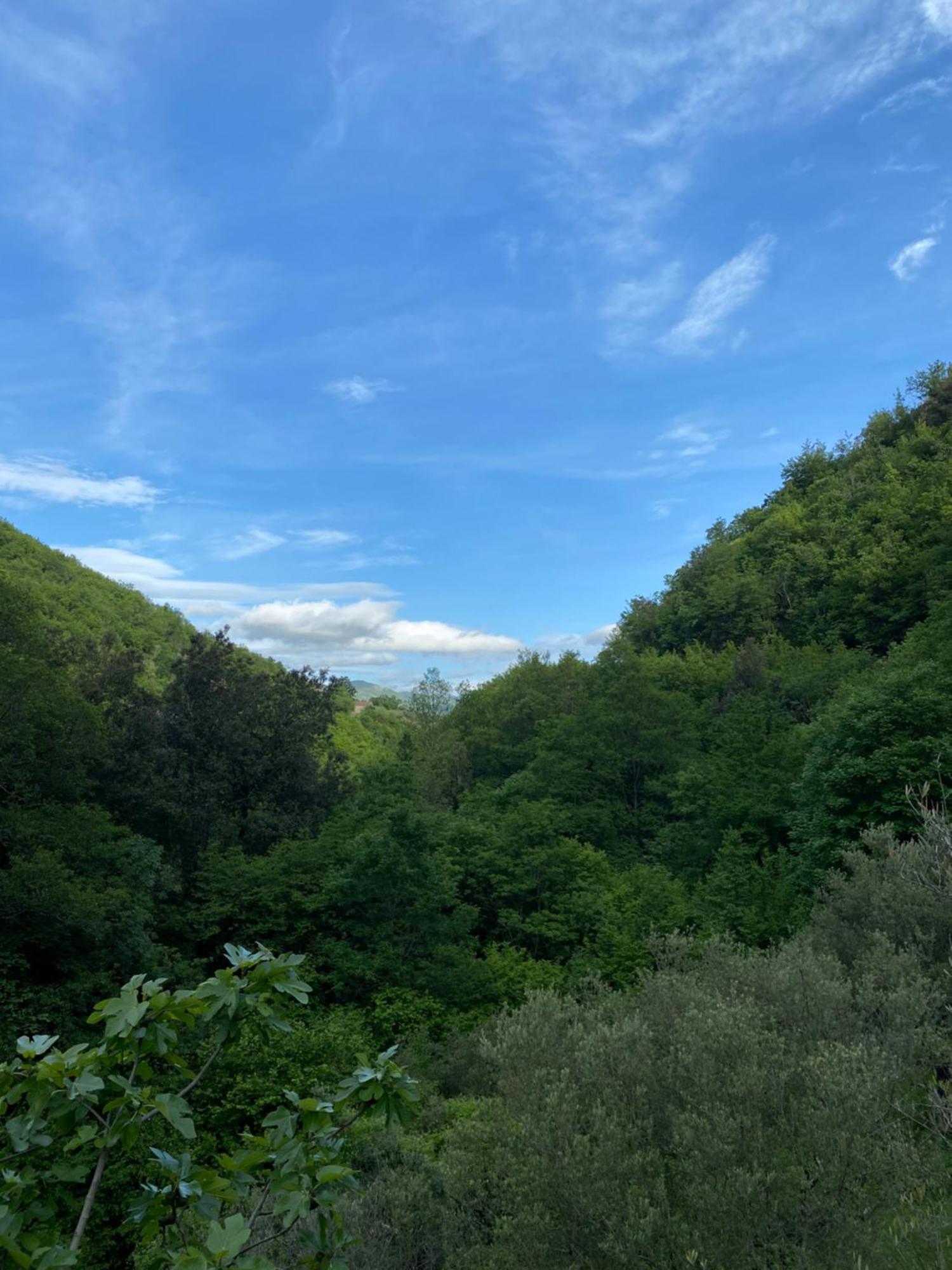 SanzaLa Siesta Del Cervati住宿加早餐旅馆 外观 照片